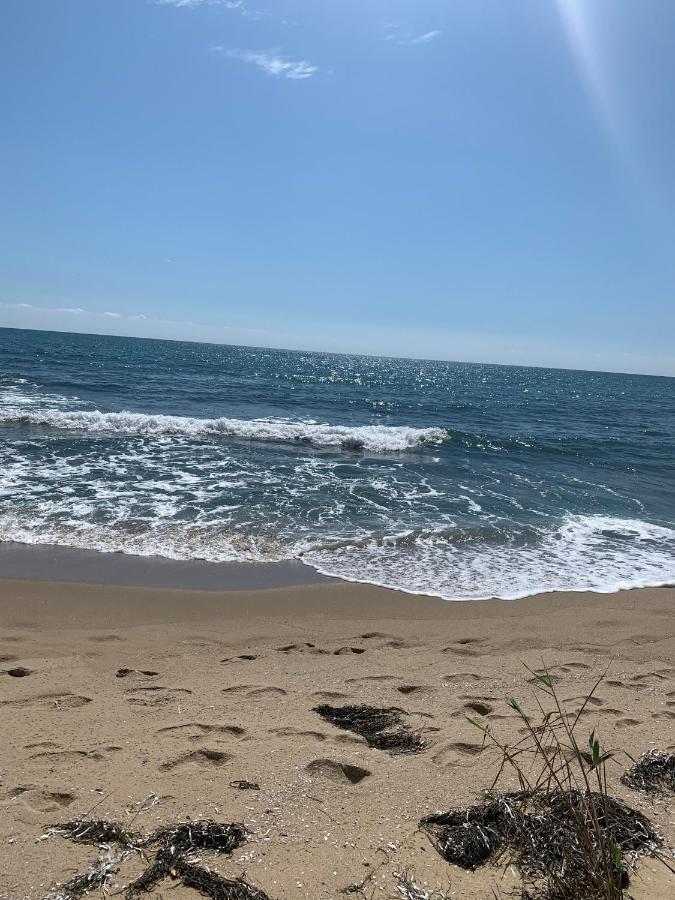 Аппартамент Pines Beach Resort Byala  Buitenkant foto